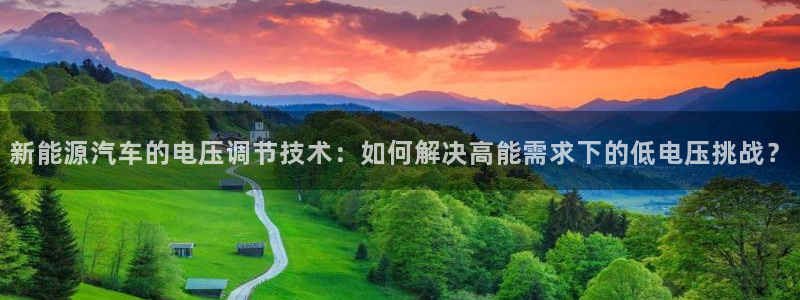 优发国际游戏17岁能玩吗：新能源汽车的电