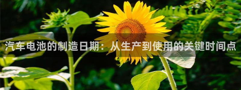 优发国际网官网址是多少：汽车电池的制造日