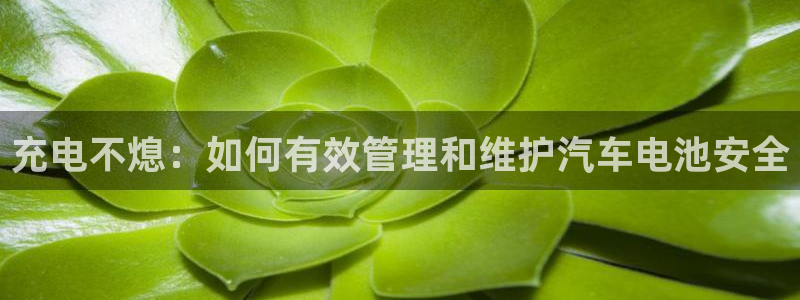 优发国际官网网站入口：充电不熄：如何有效管理和维护汽车电池安全