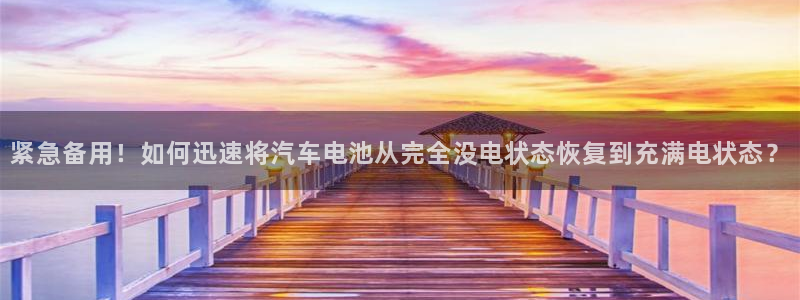 优发国际的官网是正品吗：紧急备用！如何迅速将汽车电池从完全没电状态恢复到充满电状态？