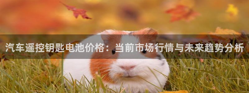 优发国际平台手机版下载官网