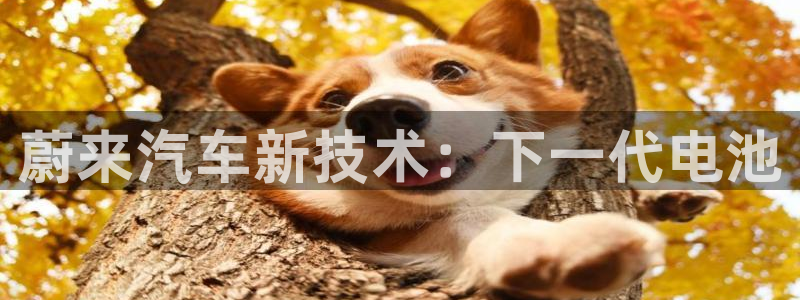 优发国际游戏n：蔚来汽车新技术：下一代电