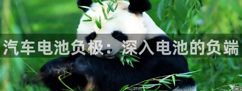 优发国际手机客户端下载安装手机版