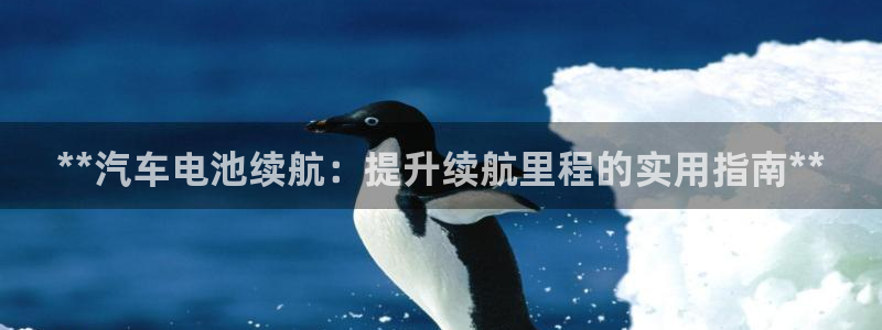 优发国际注册平台是什么