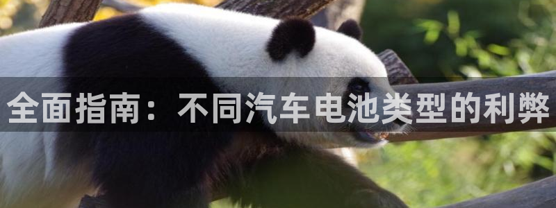 优发国际登录l8