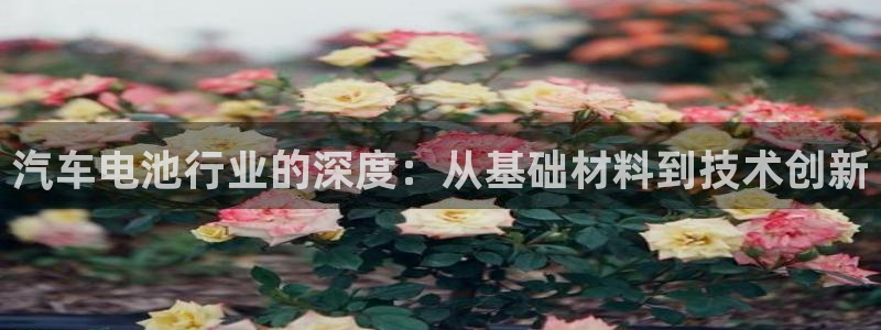 优发国际集团股份有限公司