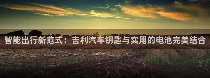 优发国际网站多少