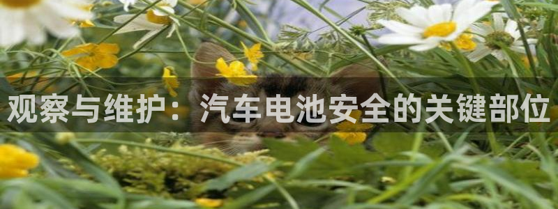 优发国际登录l8