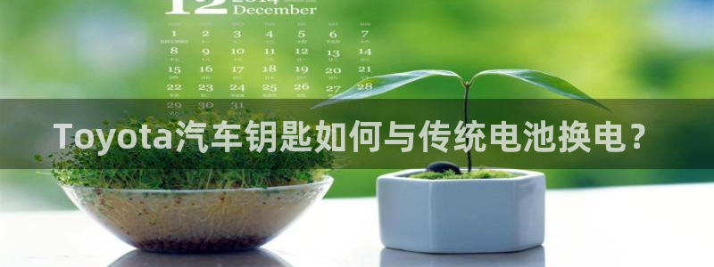 优发国际手机版客户端下载安装