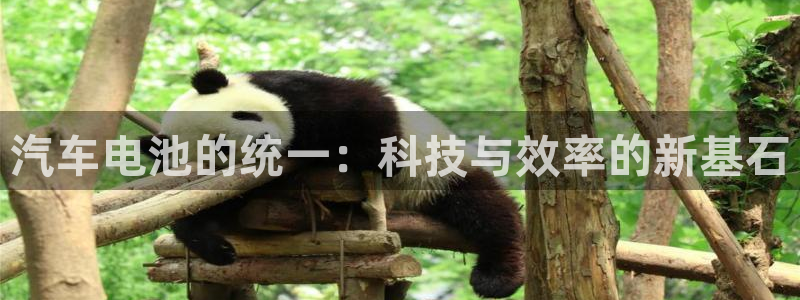 优发国际随优而动一触即发