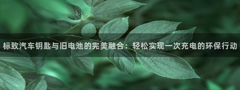优发国际手机版网站下载