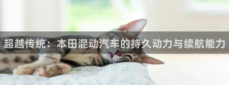 优发国际官网,首页