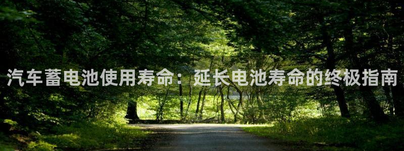 优发国际注册平台官网：汽车蓄电池使用寿命：延长电池寿命的终极指南