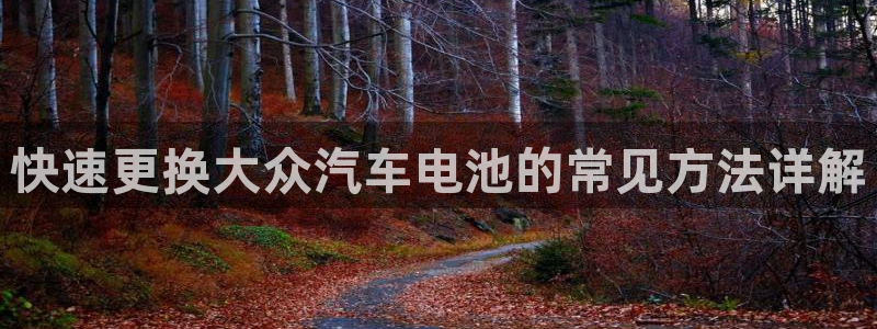 优发国际手机版官网下载：快速更换大众汽车电池的常见方法详解