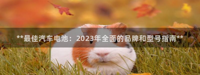 优发国际网官网址是多少