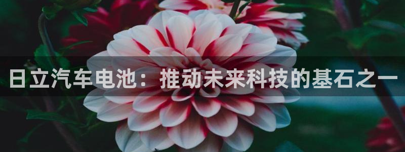 优发国际平台18岁能做吗：日立汽车电池：推动未来科技的基石之一
