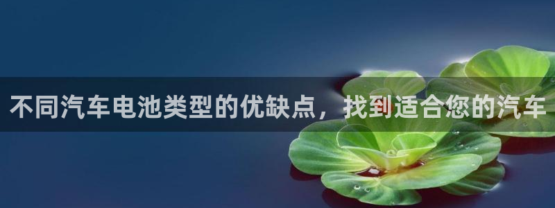 优发国际注册平台怎么样：不同汽车电池类型的优缺点，找到适合您的汽车