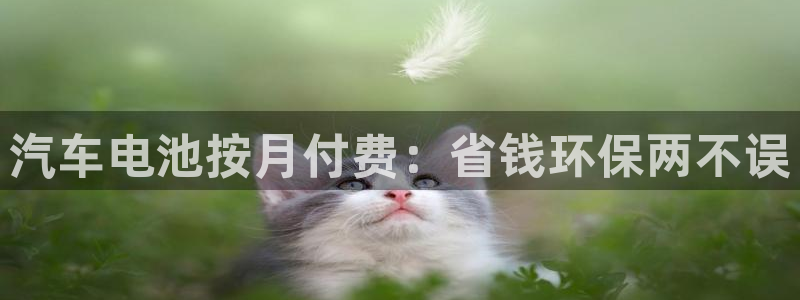 优发国际官网首页：汽车电池按月付费：省钱环保两不误