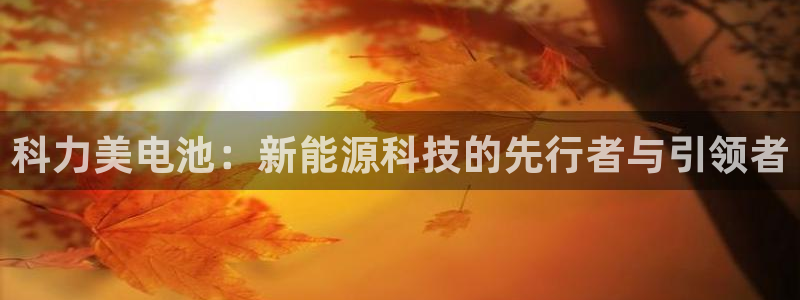 优发国际这个平台怎么样可靠吗：科力美电池：新能源科技的先行者与引领者